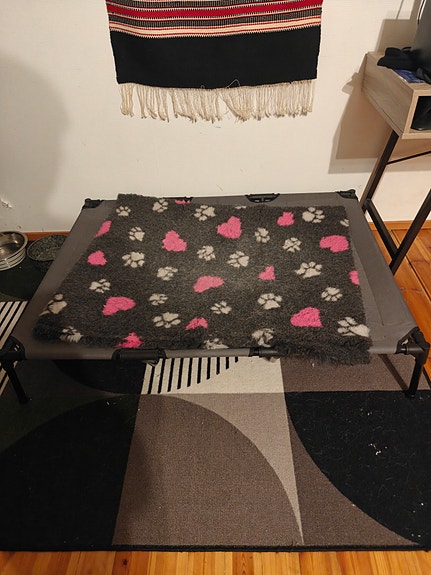 Korotettu koiran sänky