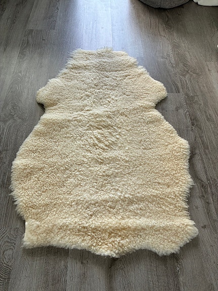 Lampaantalja