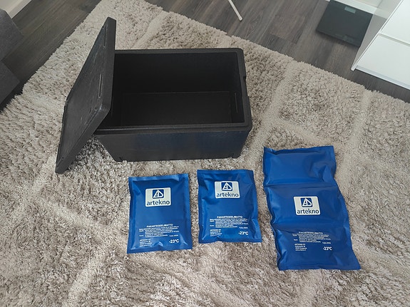 Artekno Box and gel packs