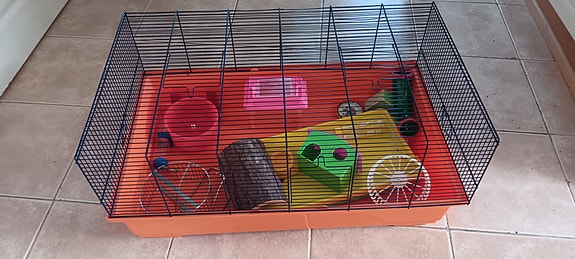 Hamsterin häkki