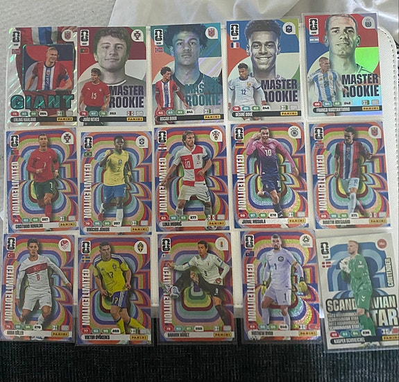 Panini Fifa World Cup 2026