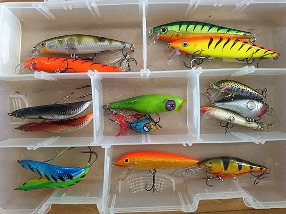 Rapala