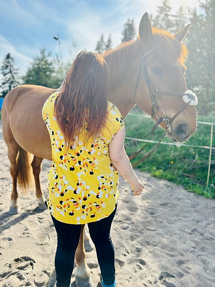 Halutaan ylläpitoon (myöh osto)
