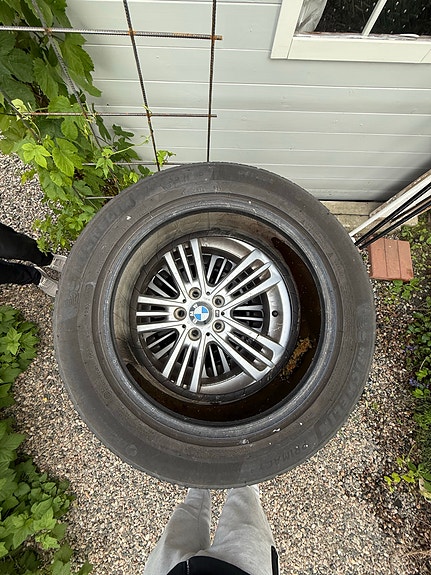 Michelin primacy