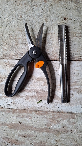 Fiskars functional form kalasakset