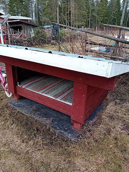 Koiralle koppi