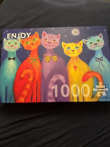 Enjoy 1000 palan kissapalapeli