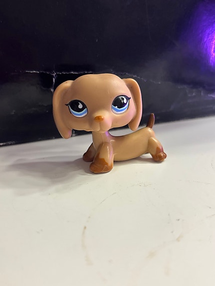 Lps aito mäyräkoira #1211