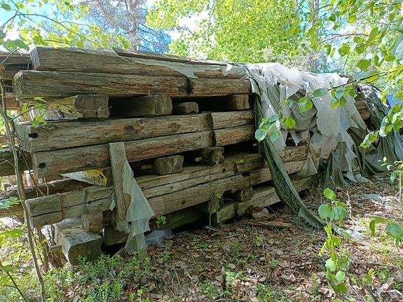 Vanhoja hirsiä, 7 "