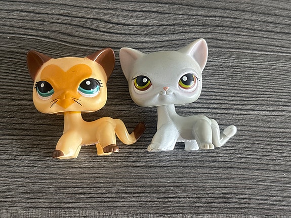 LPS