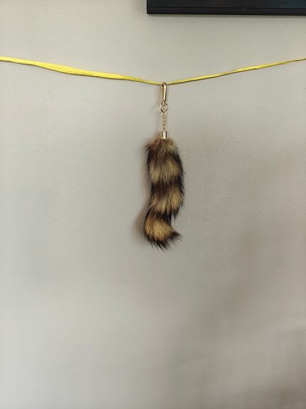 Ruskea häntä
