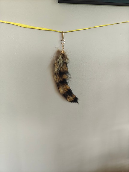 Ruskea häntä