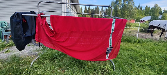 Verkkoloimi