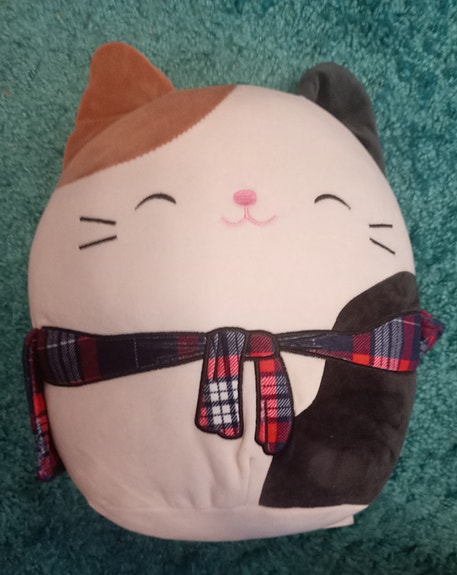 Squishmallows Cam-kissa