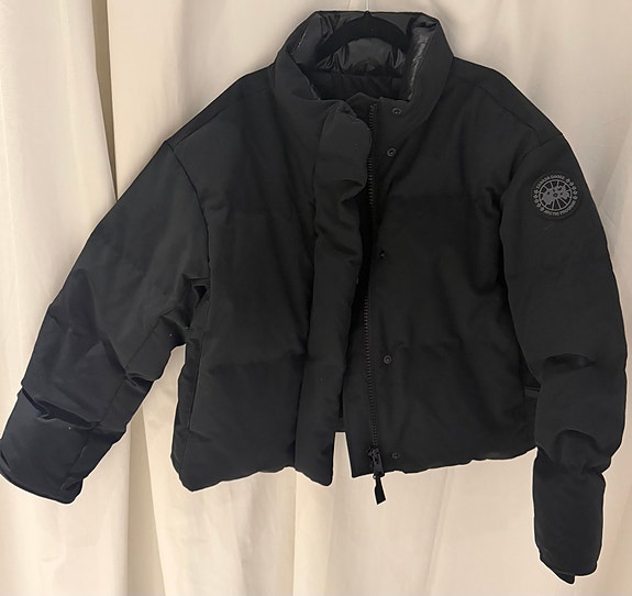 canada goose