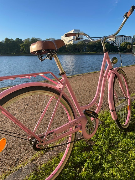 Näyttävä polkupyörä - Pink Panther