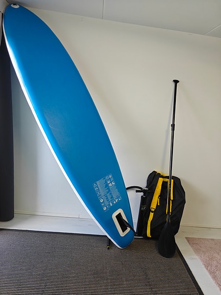 BestWay Surf Board
