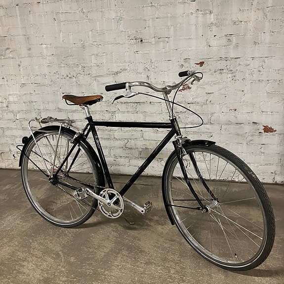 Pelago Bristol Single speed