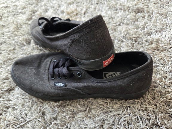 Vans tennarit, 37