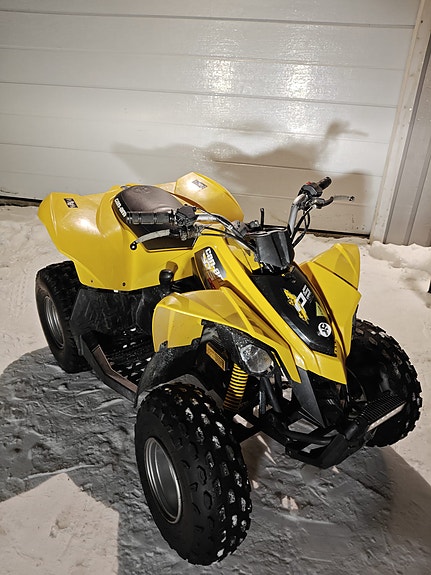 Can-am DS90