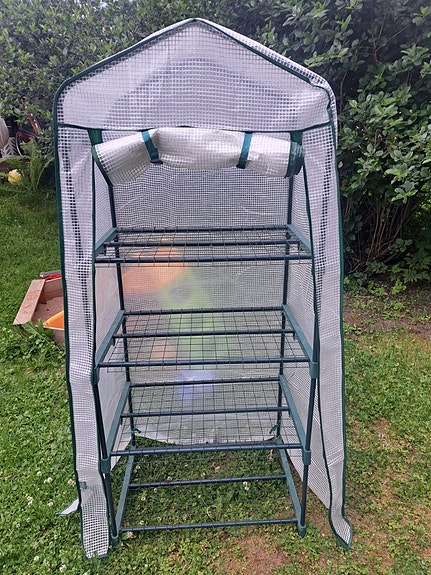 Pieni kasvihuone hyllyillä