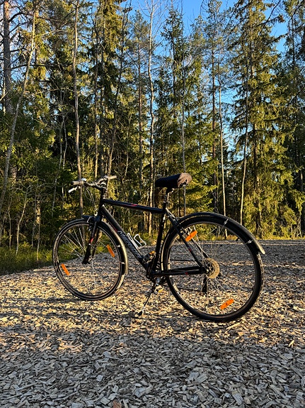 Merida Crossway Redwood hybridipyörä 28" 55 cm unisex
