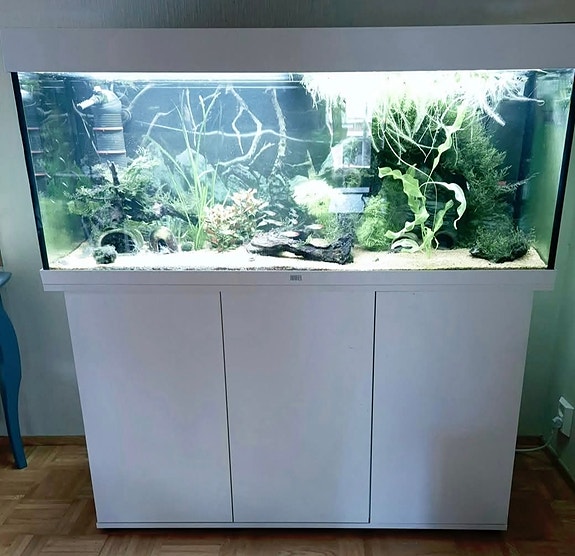 Juwel Rio 240 kalusteakvaario