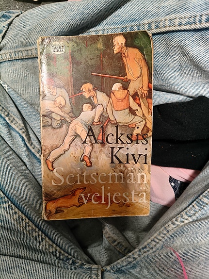 Aleksis Kivi Seitsemän veljestä kirja