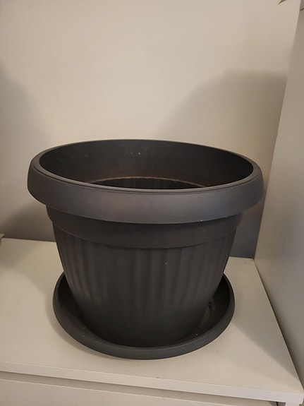 Musta muovinen kukkaruukku aluslautasella