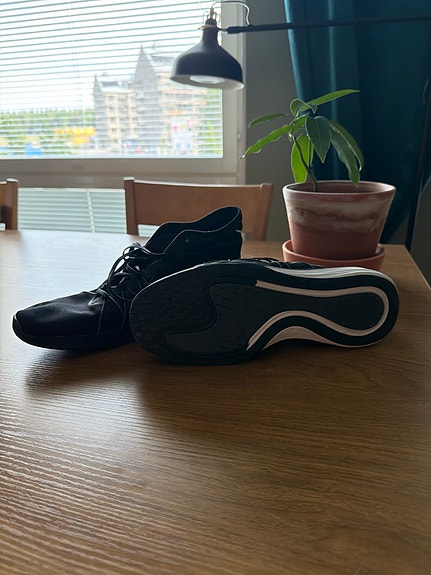 Nike sisäpelikengät 41
