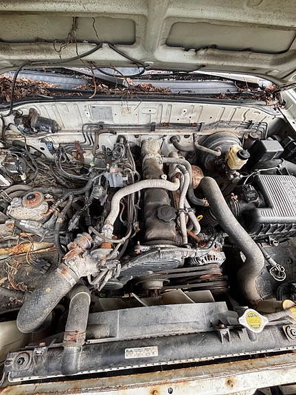 Ford Ranger WL-T moottori