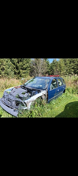 Vw golf IV osina