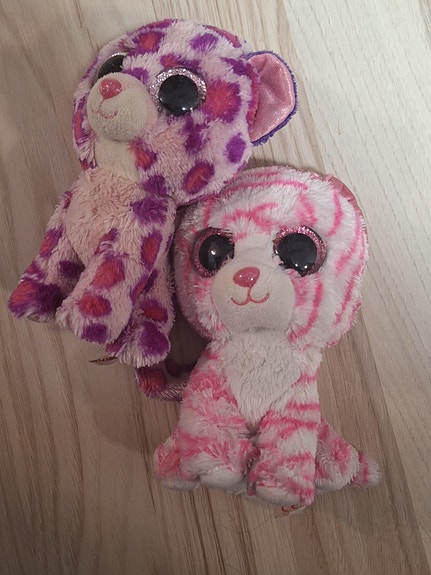 Ty pehmolelut kissat pinkki ja violetti