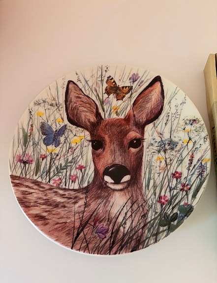 Arabia Fauna seinälautanen peura