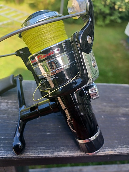Cardinal classick 20