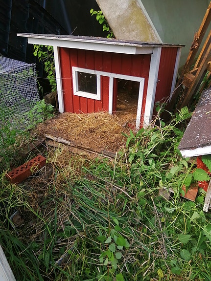kanin. kanalle tai koiralle  koppi