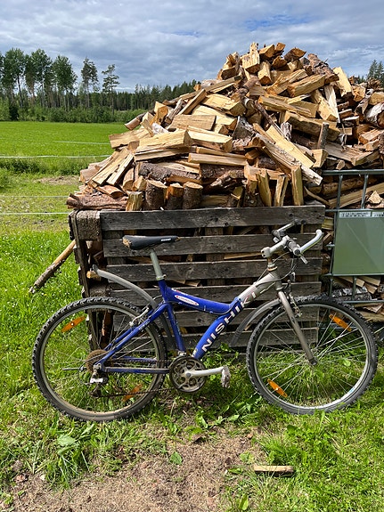 Nishiki Timbuk