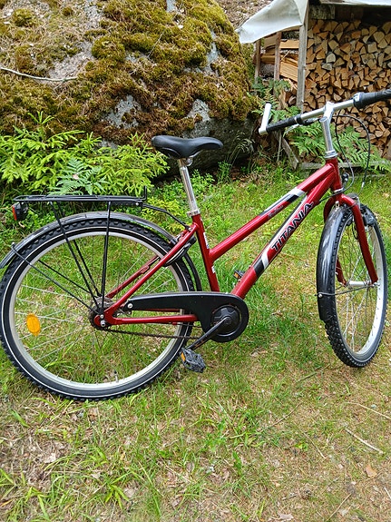 Tyttöjen pyörä
