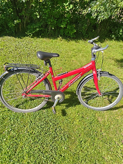 Crescent 26"
