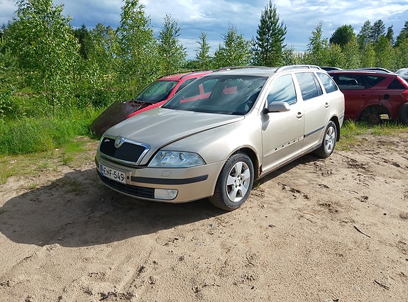 Skoda Octavia 1.9 TDI osina