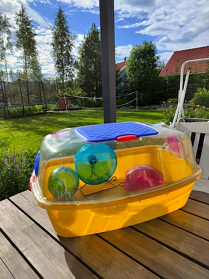 Hamsteri häkki ja tarvikkeita