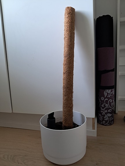 Orthex altakasteluruukku