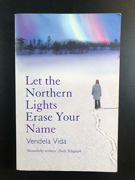 Let the Northern Lights Erase Your Name by Vendela Vida (Book in English)