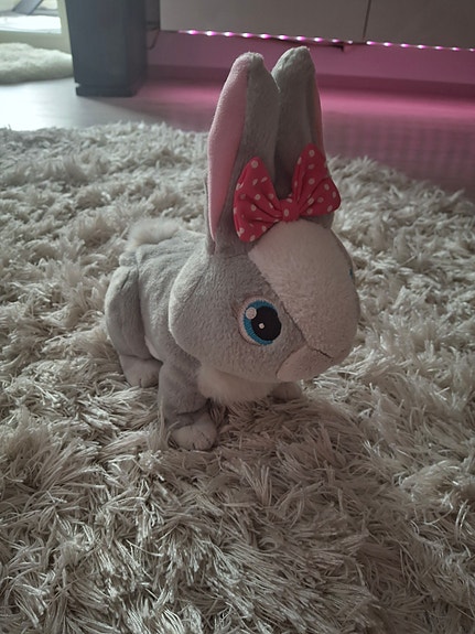 Club Petz Betsy pupu