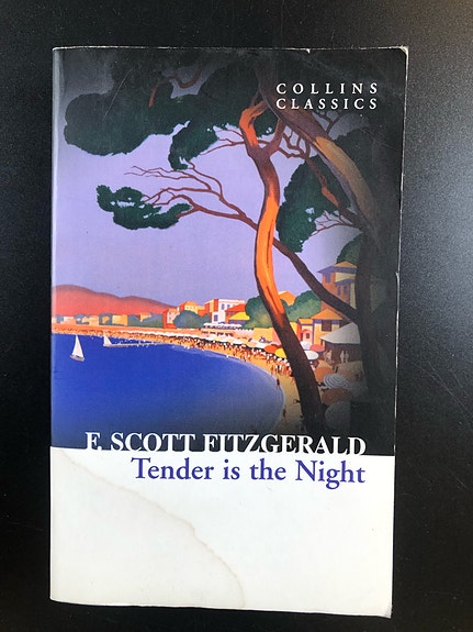 Tender is the Night by F. Scott Fitzgerald (Book in English)