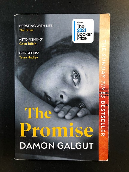 The Promise by Damon Galgut (Book in English)
