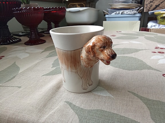 Koiramuki Labradorinnoutaja.