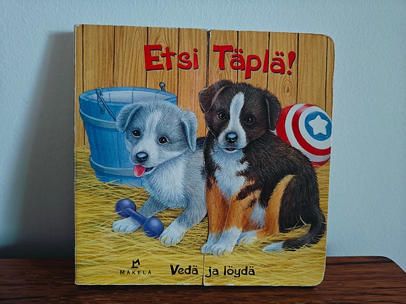 Kaksi vanhaa kirjaa