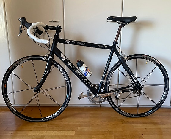 Avanti Corsa Carbonio maantiepyörä