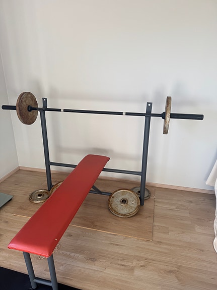 Penkki + Levypainoja